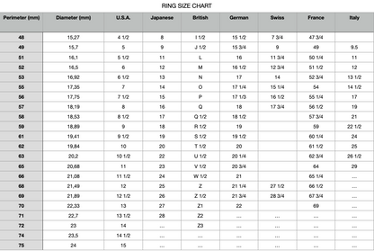 Balance ring Unusual rings Project50g 